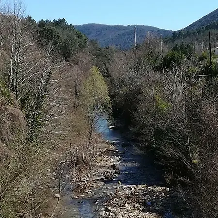 Le Cocon